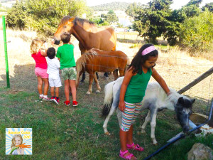Campamento de verano en la granja escuela Monte de la Torre